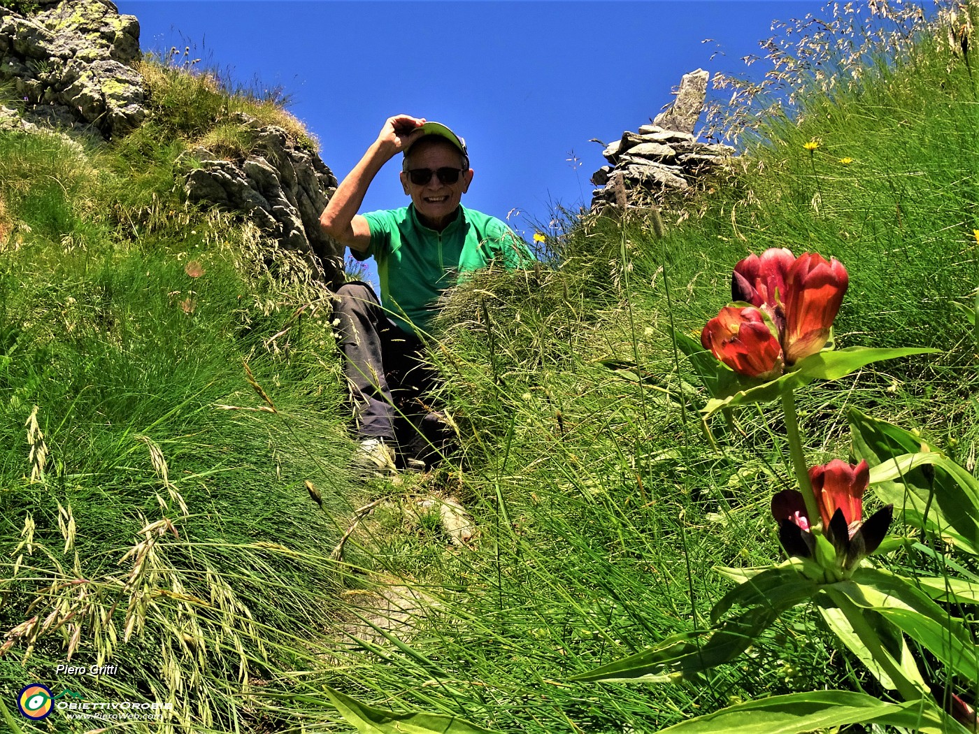 02 Alla Bocchetta di Budria (2116 m) con Gentiana purpurea (Genziana porporina).JPG -                                